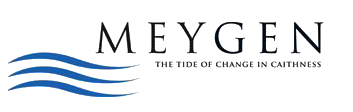 Meygen - Logo