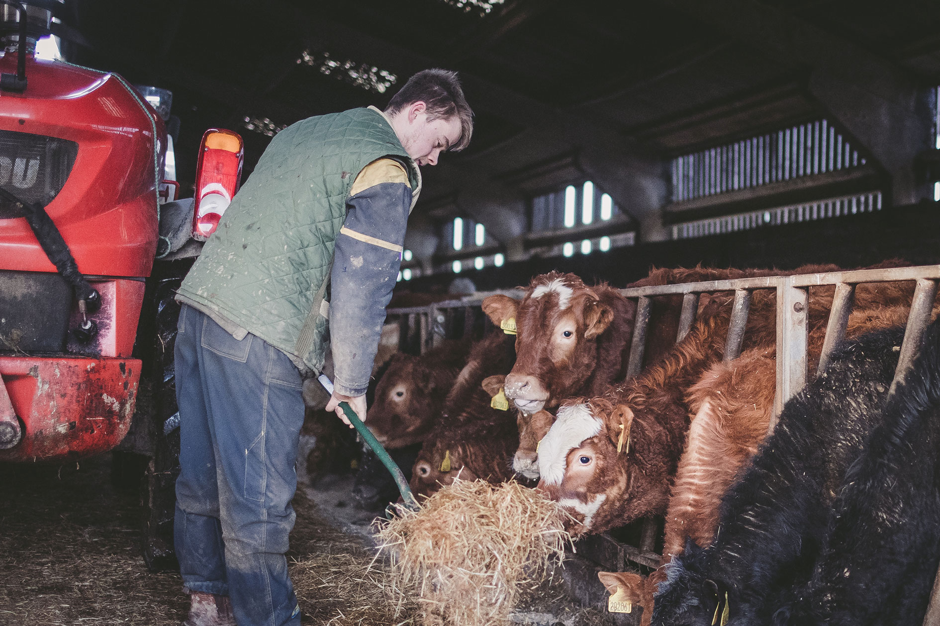 Michael Doull, Farming Apprentice (Messrs Sinclair, Reaster Farm, Lyth) Photography by Colin Campbell Photography and Design
