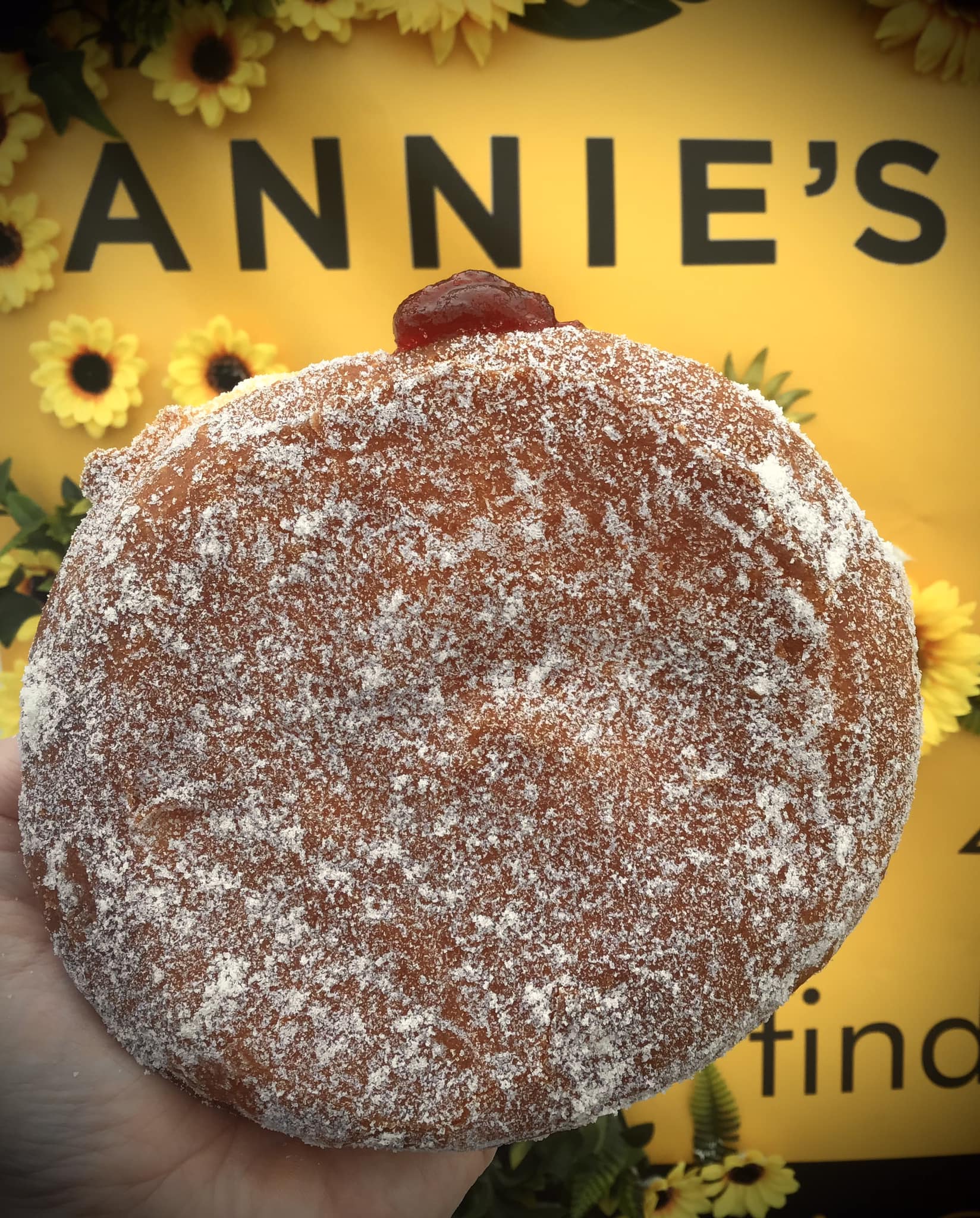 Giant Doughnut Annies